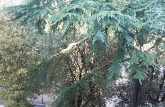 Prestige and comfort in the center of Perugia and views - Foto 54