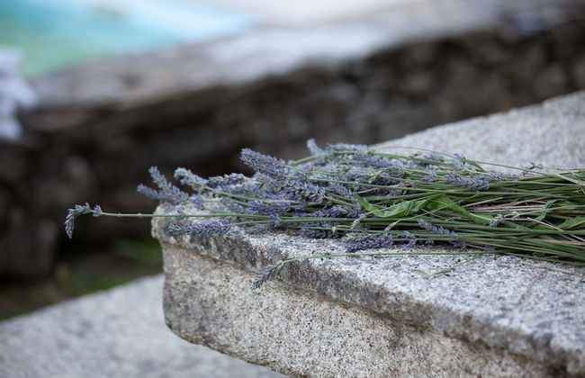 Quinta de Mos - Foto 17