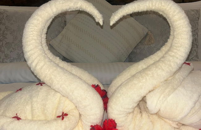 M&M VILLAS ZANZIBAR - Foto 6