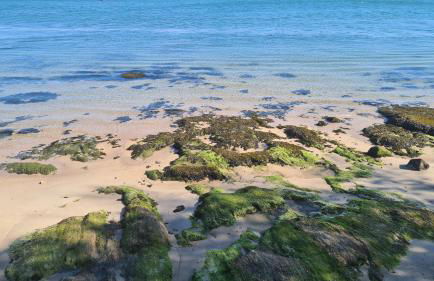 Apartamento vista Douro e Mar - Foto 77