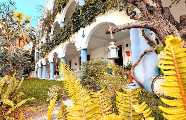 Tas Apart - Photo 43