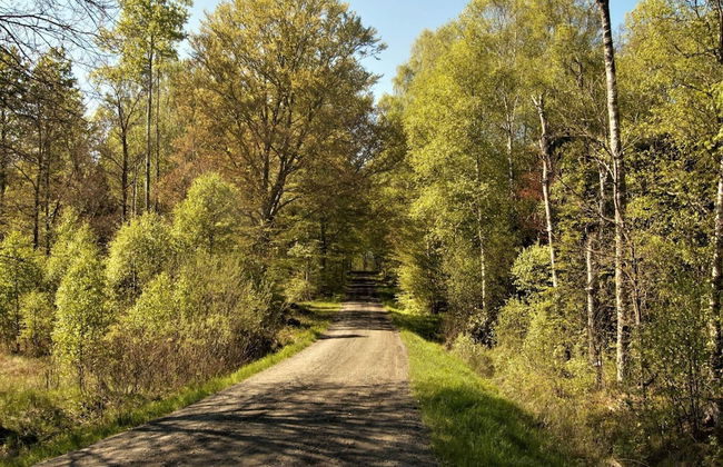 4 Person Holiday Home in Hovmantorp - Foto 1