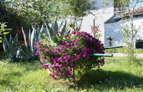 Apartmani Mirjana Umag - Foto 52