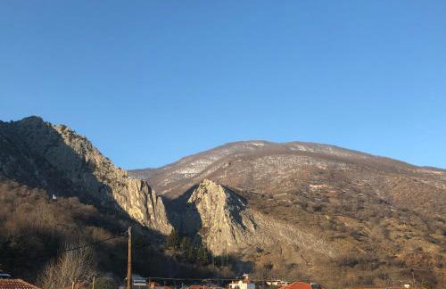 Alexandros - Foto 12