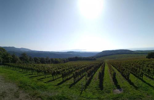 Lucas House - Foto 20