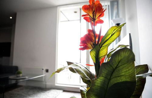 Modern 2 bedroom apartment - city centre - parking - Foto 13