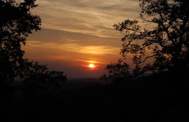 Podere Campovecchio - Foto 57