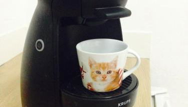 Valencian Dreams - Photo 4