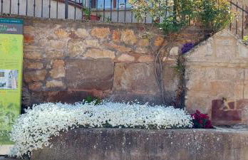 La Cabaña - Foto 29