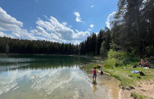 Domek wypoczynkowy Letnisko Sosenkowo - Foto 72