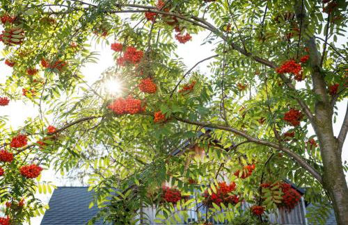 Ferienwohnung Zum Karzl - Foto 31