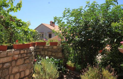 Apartments with parking space Cunski, Losinj - 8010 - Foto 20