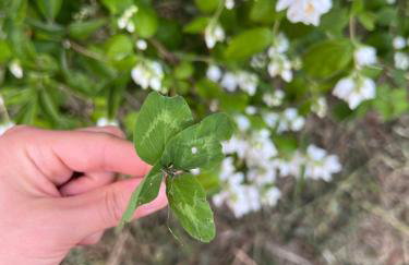 Apartament w XIX-wiecznym Spichlerzu nad Jeziorem z dostępem do parku i widokiem na Dworek Modrzewiowy z 1823 roku - Foto 44