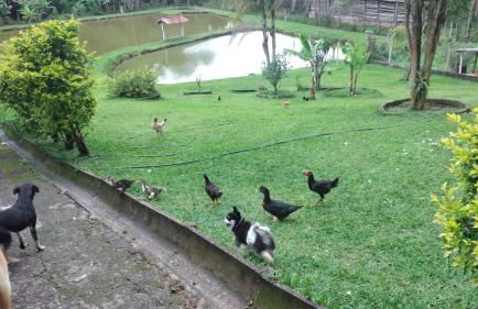 Chácara Saluti - Foto 30