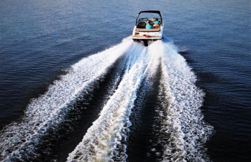 FoRest Longinówka - las, jezioro, parking, Netflix i Prime, TV55" - Foto 36