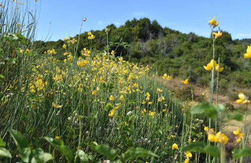 HOME L'UPUPA AMIATA - Foto 41