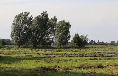 Agroturystyka Żuławiaczek - Foto 25