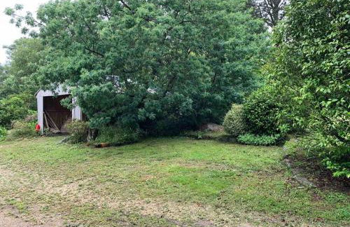 Cottage Tea Mamm , écrin de verdure et son jardin de thé, 3 étoiles - Foto 35