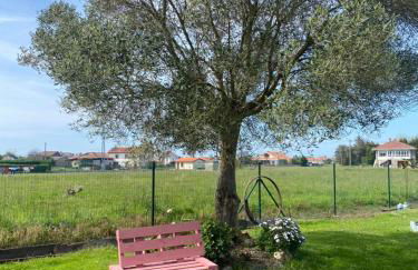 Casa Terán - Foto 38