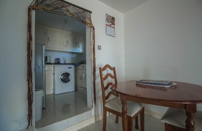 Tall Palms - Photo 9