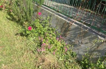 Vila Klara - Foto 60