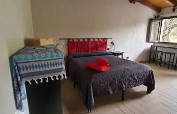 La finestra sul vigneto - Foto 20