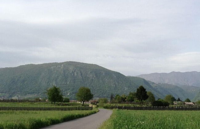 Agriturismo Al Vecchio Portico - Photo 75