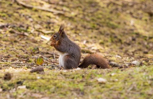 Modern 2 Bedroom Apartment near Crosby Beach & Liverpool - Foto 49