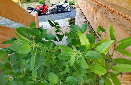 Osada Sudecka - Foto 29