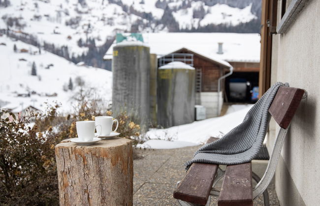 Chalet Reinhysi - Foto 30