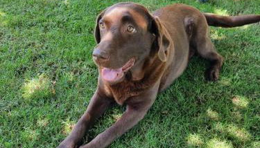 appartement "chez Luna" rez-de-jardin maison individuelle - Foto 3