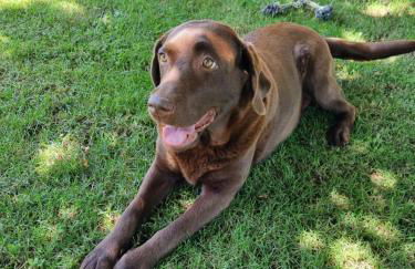 appartement "chez Luna" rez-de-jardin maison individuelle - Photo 3