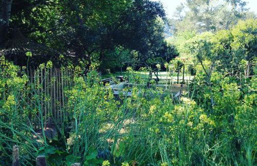 Cabane de la leque - Foto 30