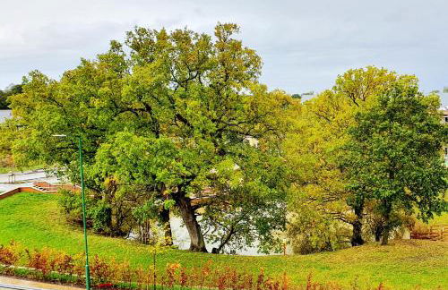 Balcony View Apt Free Parking Sleeps 5 - Foto 11