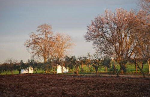 Cortijo de Vega Grande - Foto 116