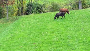 Ca du Bensa - Foto 4