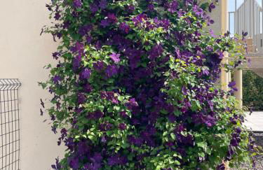 Gîte de brizolles - Foto 7