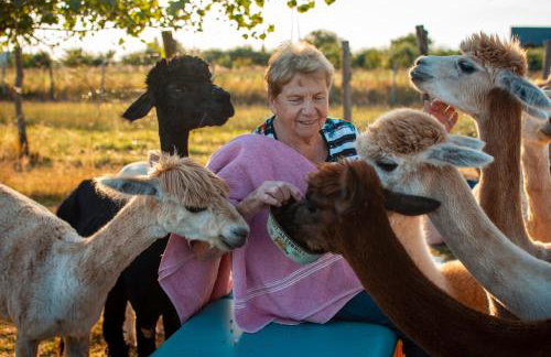 Alpaka-Ranczo AFF - Foto 19