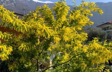 Appartamento caneve - Foto 3