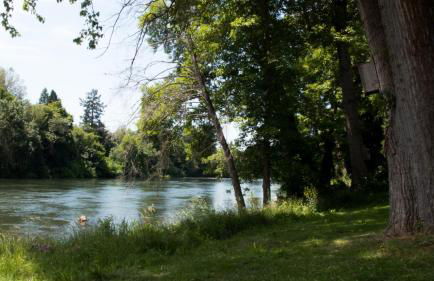 DunMovin’ Oregon - Foto 18