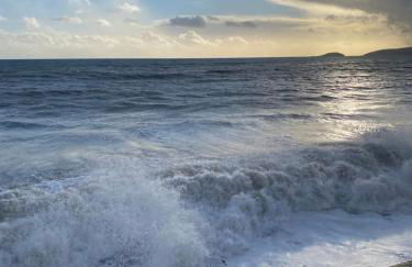 Cedar Lodge - Photo 31