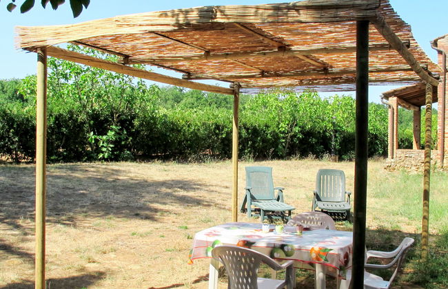 Fattoria Petraglia - Cedro - Foto 3