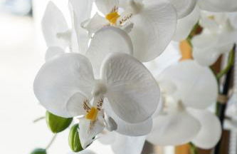 Ferienwohnungen Köhler - Foto 25