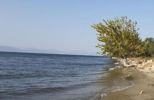 Anna - Maria Luxury Suite - Photo 14