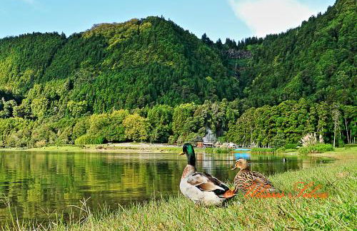 Casa do Vale Encantado - Photo 41