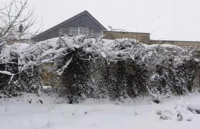 Sourbrodt Villa With Pool - Photo 31