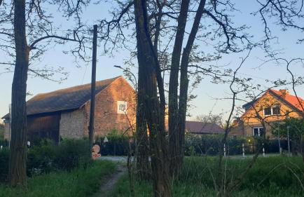 Ferienwohnung Familie Lange, bis 8 Personen - Foto 51