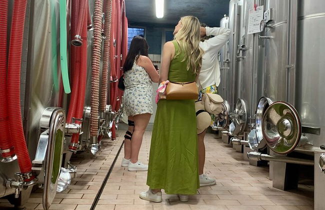 Premium Private Prosecco Hills Tour - 2 Cantine. Tour privato. - Foto 42