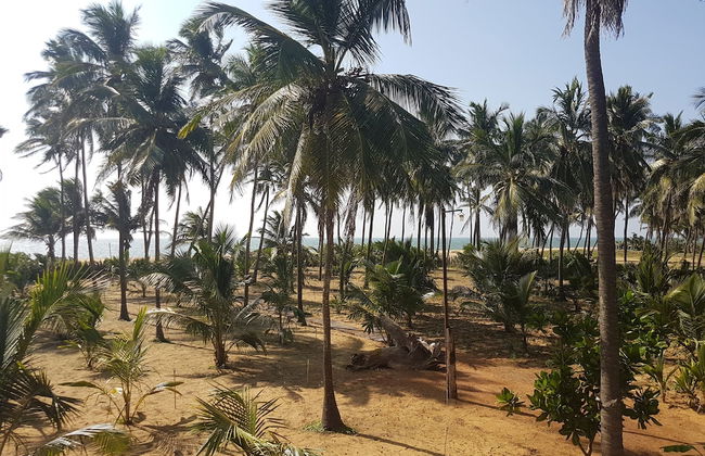 Rüstic Beach Villa - Foto 25