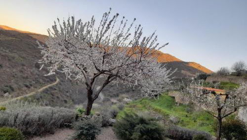 Bairro do Casal - Turismo d'Aldeia - Foto 3